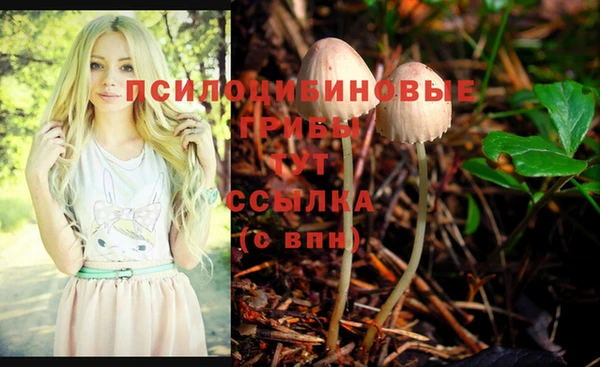 МДМА Дмитров