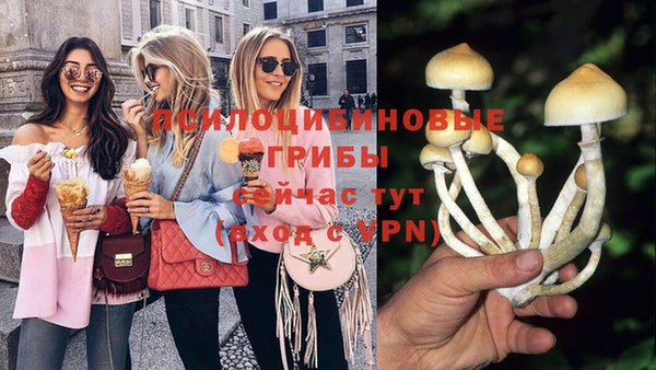 МДМА Дмитров