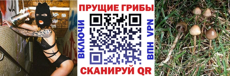 Псилоцибиновые грибы MAGIC MUSHROOMS  Купить закладки  Печоры 
